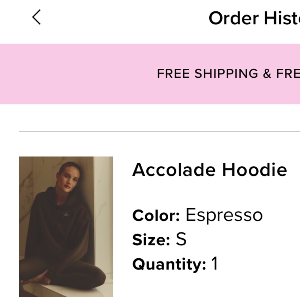 ALO Accolade Hoodie Espresso - Picture 3 of 5
